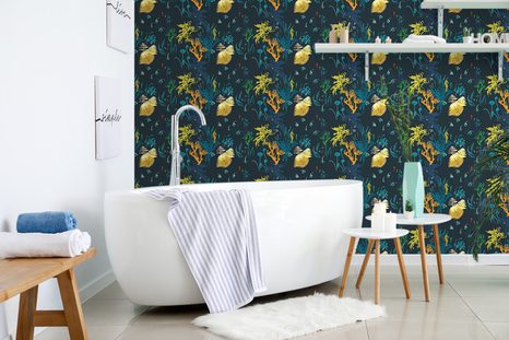 TAPETA KRÁSY PODMOŘSKÉHO SVĚTA - TAPETY PŘÍRODA - TAPETY