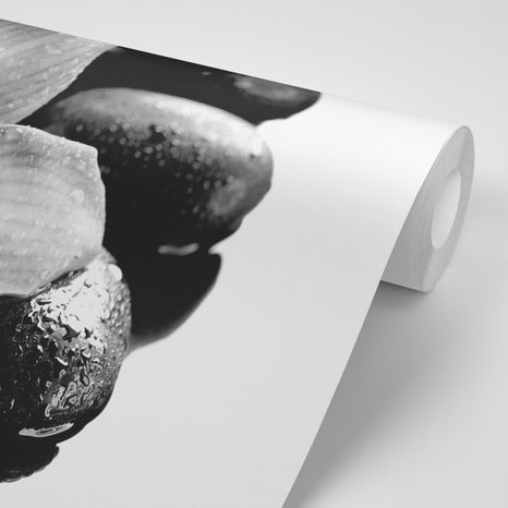 FOTOTAPETA ČERNOBÍLÁ EXOTICKÁ ORCHIDEJ - ČERNOBÍLÉ TAPETY - TAPETY