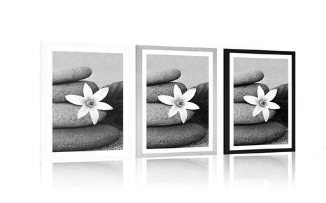 AFFICHE AVEC PASSE-PARTOUT – FLEUR ET PIERRES DANS LE SABLE EN NOIR ET BLANC - NOIR ET BLANC - AFFICHES
