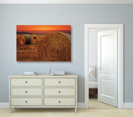 WANDBILD HEUBALLEN - BILDER VON NATUR UND LANDSCHAFT - BILDER