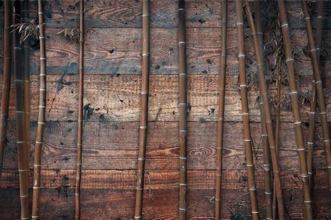 TAPETA EXOTICKÝ BAMBUS NA DREVE - TAPETY - 🔥 TOTÁLNY VÝPREDAJ