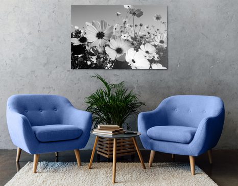 STAMPA SU TELA – PRATO DI FIORI PRIMAVERILI IN BIANCO E NERO - QUADRI BIANCO E NERO - STAMPE E QUADRI