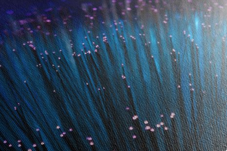 SLIKA OPTIČNA VLAKNA - SLIKE TIHOŽITJE - SLIKE