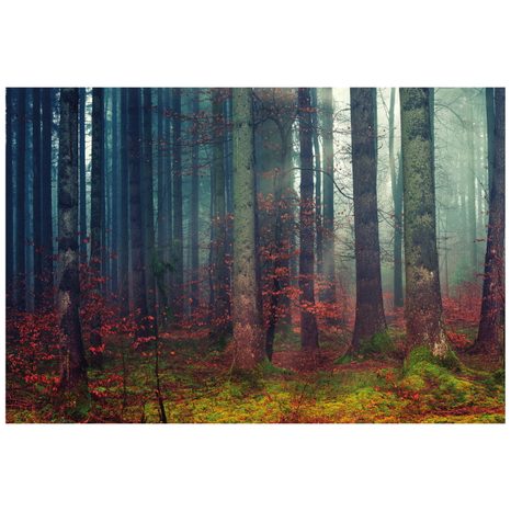 SAMOLEPÍCÍ FOTOTAPETA TAJEMSTVÍ LESA - SAMOLEPÍCÍ TAPETY - TAPETY