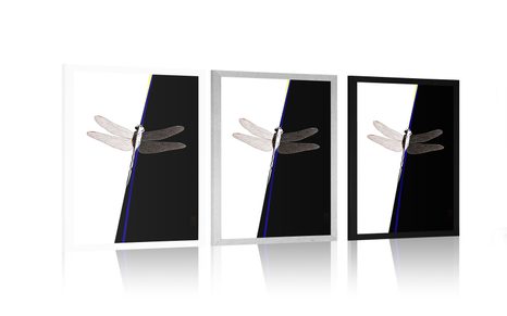 POSTER SYMMETRIE DER LIBELLE - MOTIVE AUS UNSERER WERKSTATT - POSTER