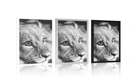 PLAGÁT MLÁĎA LEVA V ČIERNOBIELOM PREVEDENÍ - ČIERNOBIELE - PLAGÁTY