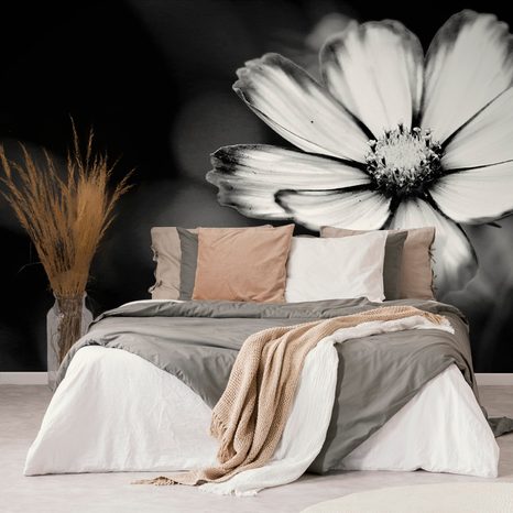 SELF ADHESIVE WALL MURAL GARDEN BLACK-AND-WHITE COSMOS FLOWER - SELF-ADHESIVE WALLPAPERS - WALLPAPERS