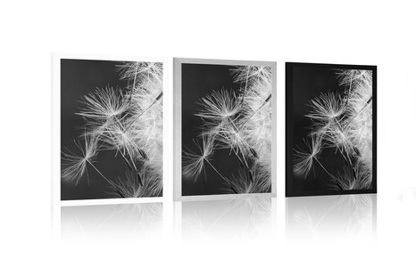 PLAKAT DETAJL REGRATOVE LUČKE V ČRNOBELI VARIANTI - ČRNOBELI - PLAKATI