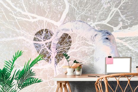 TAPETA PODZIMNÍ NÁMRAZA - TAPETY STROMY - TAPETY