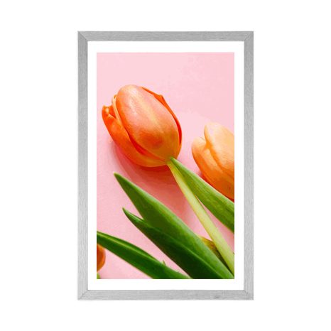 POSTER MIT PASSEPARTOUT ELEGANTE TULPEN - BLUMEN - POSTER