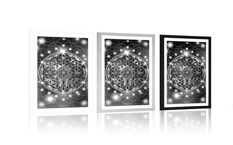 POSTER – MAGNIFICO GIORNO NEL PRATO IN BIANCO E NERO - NERO E BIANCO - POSTER