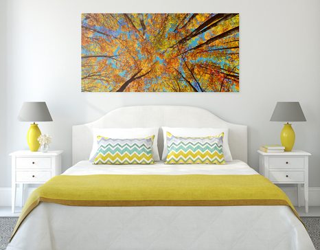 OBRAZ PODZIMNÍ KORUNY STROMŮ - OBRAZY PŘÍRODY A KRAJINY - OBRAZY