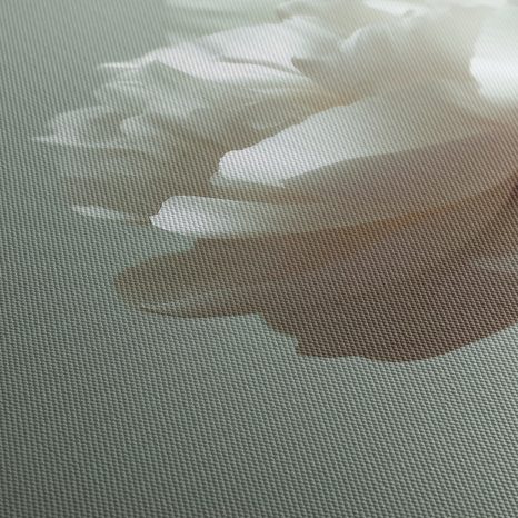 WANDBILD BLUMIGE ELEGANZ AUF WEISS - BILDER BLUMEN - BILDER