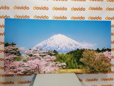 WANDBILD BERG FUJI - BILDER VON NATUR UND LANDSCHAFT - BILDER