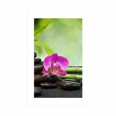 AFFICHE AVEC PASSE-PARTOUT – NATURE MORTE FENG SHUI - FENG SHUI - AFFICHES