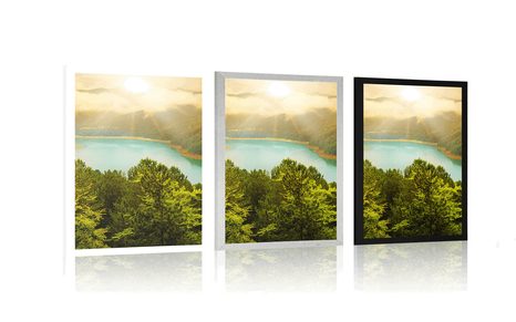 POSTER RIVER IN THE MIDDLE OF A GREEN FOREST - NATURE - POSTERS