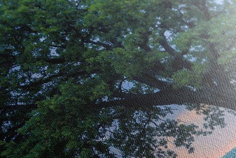 TABLOU STEJAR SINGURATIC - TABLOU NATURĂ ȘI PEISAJE NATURALE - TABLOURI