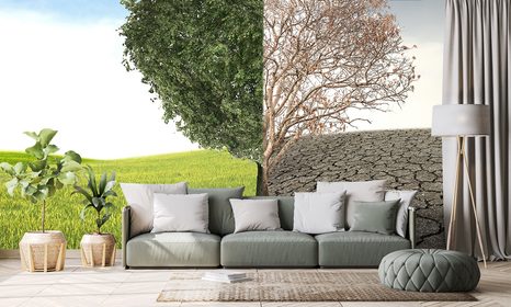 TAPETA STROM VE DVOU PODOBÁCH - TAPETY PŘÍRODA - TAPETY