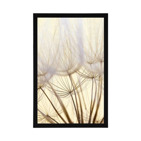 POSTER – SEMI DI DENTE DI LEONE - FIORI - POSTER