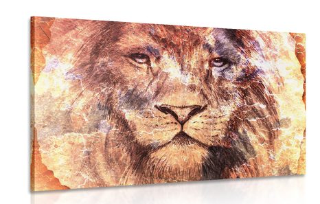 CANVAS PRINT LION'S FACE - PICTURES OF ANIMALS - PICTURES