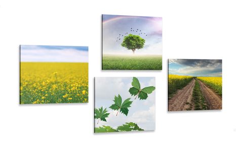 CANVAS PRINT SET DAZZLING NATURE - SET OF PICTURES - PICTURES