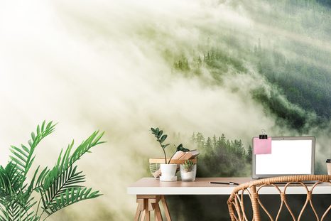 SAMOLEPÍCÍ FOTOTAPETA MLHAVÝ LES - SAMOLEPÍCÍ TAPETY - TAPETY