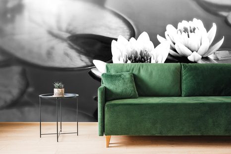 SAMOLEPÍCÍ FOTOTAPETA ČERNOBÍLÝ LOTOSOVÝ KVĚT V JEZEŘE - SAMOLEPÍCÍ TAPETY - TAPETY