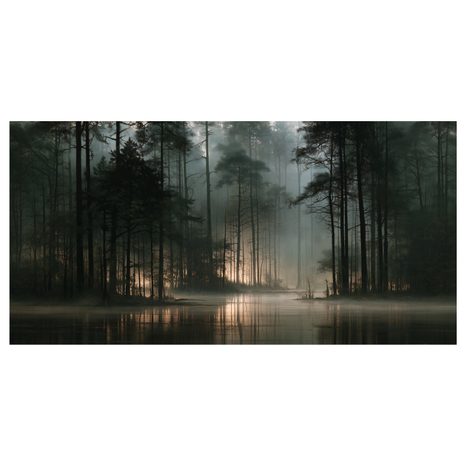 CANVASTAVLA MORGONDIMMA I SKOGEN - TAVLOR MED SKOG - TAVLOR