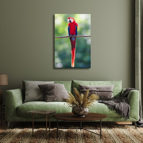 OBRAZ JASNĚ ČERVENÝ PAPOUŠEK NA VĚTVI - OBRAZY PTÁCI - OBRAZY