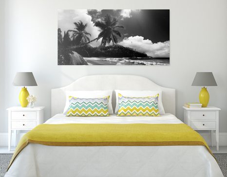 SLIKA ČUDOVITA PLAŽA NA SEJŠELIH V ČRNOBELI IZVEDBI - ČRNOBELE SLIKE - SLIKE