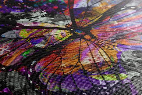 OBRAZ NIEZWYKŁY MOTYL - POP ART OBRAZY - OBRAZY