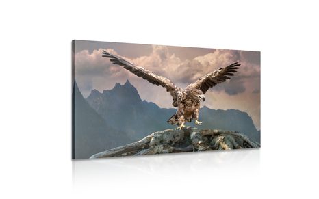 ΕΙΚΌΝΑ ΑΕΤΟΎ ΜΕ ΑΠΛΩΜΈΝΑ ΦΤΕΡΆ ΠΆΝΩ ΑΠΌ ΤΑ ΒΟΥΝΆ - ΠΊΝΑΚΕΣ ΖΏΩΝ - ΠΊΝΑΚΕΣ