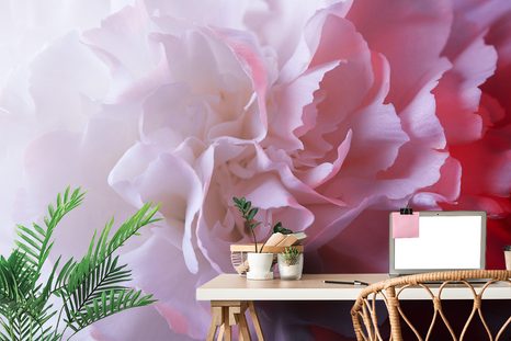 FOTOTAPETA LUPÍNKY KARAFIÁTU - TAPETY KVĚTINY - TAPETY