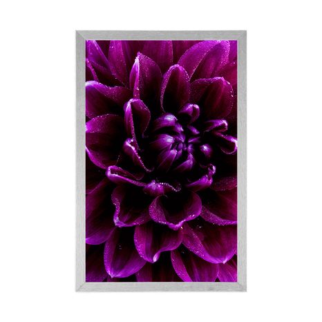 PLAGÁT PURPUROVO-FIALOVÝ KVET - KVETY - PLAGÁTY