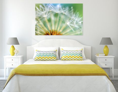 WANDBILD SCHÖNES DETAIL DES LÖWENZAHNS - BILDER BLUMEN - BILDER