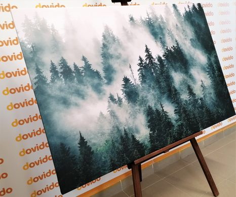 OBRAZ HORY V MLZE - OBRAZY PŘÍRODY A KRAJINY - OBRAZY