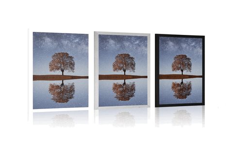 PLAKÁT HVĚZDNÁ OBLOHA NAD OSAMĚLÝM STROMEM - PŘÍRODA - PLAKÁTY