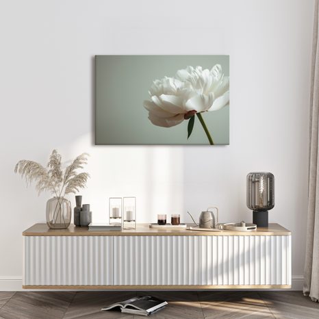 OBRAZ NĚŽNÁ BÍLÁ PIVOŇKA - OBRAZY KVĚTŮ - OBRAZY