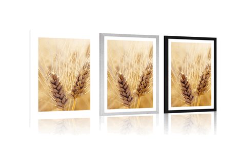 POSTER MIT PASSEPARTOUT WEIZENFELD - NATUR - POSTER