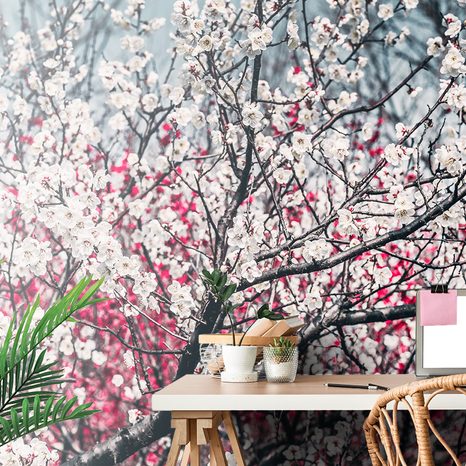 WALL MURAL PEACH FLOWERS - WALLPAPERS FLOWERS - WALLPAPERS