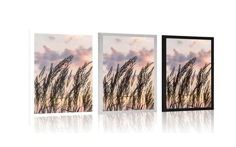 PLAKAT TRAVA OB ZAHAJAJOČEM SONCU - NARAVA - PLAKATI