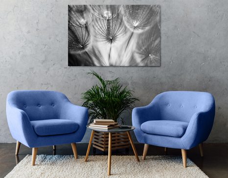 КАРТИНА НА ПЛАТНО – ГЛУХАРЧЕ В ЧЕРНО И БЯЛО - ЧЕРНО-БЕЛИ КАРТИНИ - КАРТИНИ