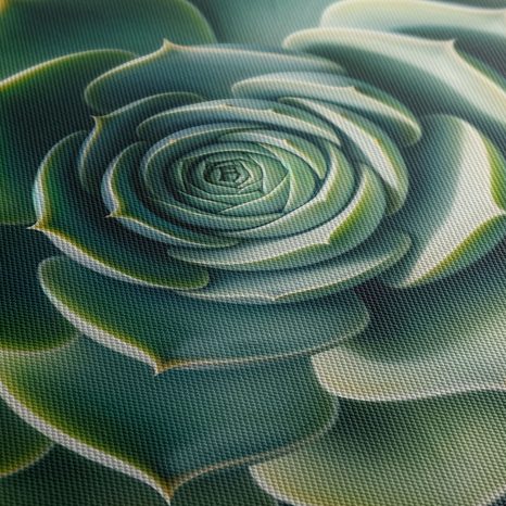 WANDBILD PERFEKTE SPIRALE DER SUKKULENTE - BOTANISCHE BILDER - BILDER