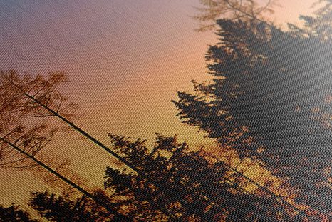 OBRAZ LES ZAHALEN TMOU - OBRAZY PŘÍRODY A KRAJINY - OBRAZY