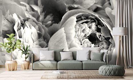 CARTA DA PARATI – PETALI DI FIORE IN BIANCO E NERO - CARTA DA PARATI BIANCO E NERO - CARTA DA PARATI