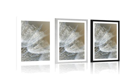 POSTER – MACRO DENTE DI LEONE SULLO SFONDO - FIORI - POSTER