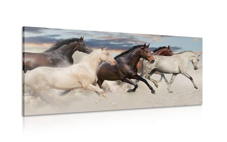 TABLEAU SUR TOILE – TROUPEAU DE CHEVAUX - IMAGES D'ANIMAUX - TABLEAUX