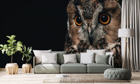 FOTOTAPETE EULE - TAPETEN MIT TIERMOTIVEN - TAPETEN