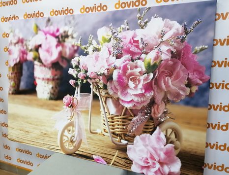 OBRAZ ROMANTICKÝ RŮŽOVÝ KARAFIÁT VE VINTAGE NÁDECHU - VINTAGE A RETRO OBRAZY - OBRAZY