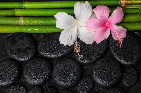 FOTOTAPETE WELLNESS-STILLLEBEN - TAPETEN MIT FENG SHUI-MOTIVEN - TAPETEN